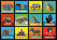 Animal Picture Squares Seating Rug 12