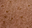 Animal Doodles Wall to Wall Children's Carpet Brown on Tan