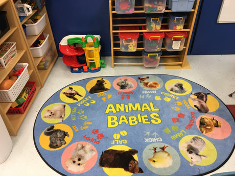 Animal Babies Preschool Rug