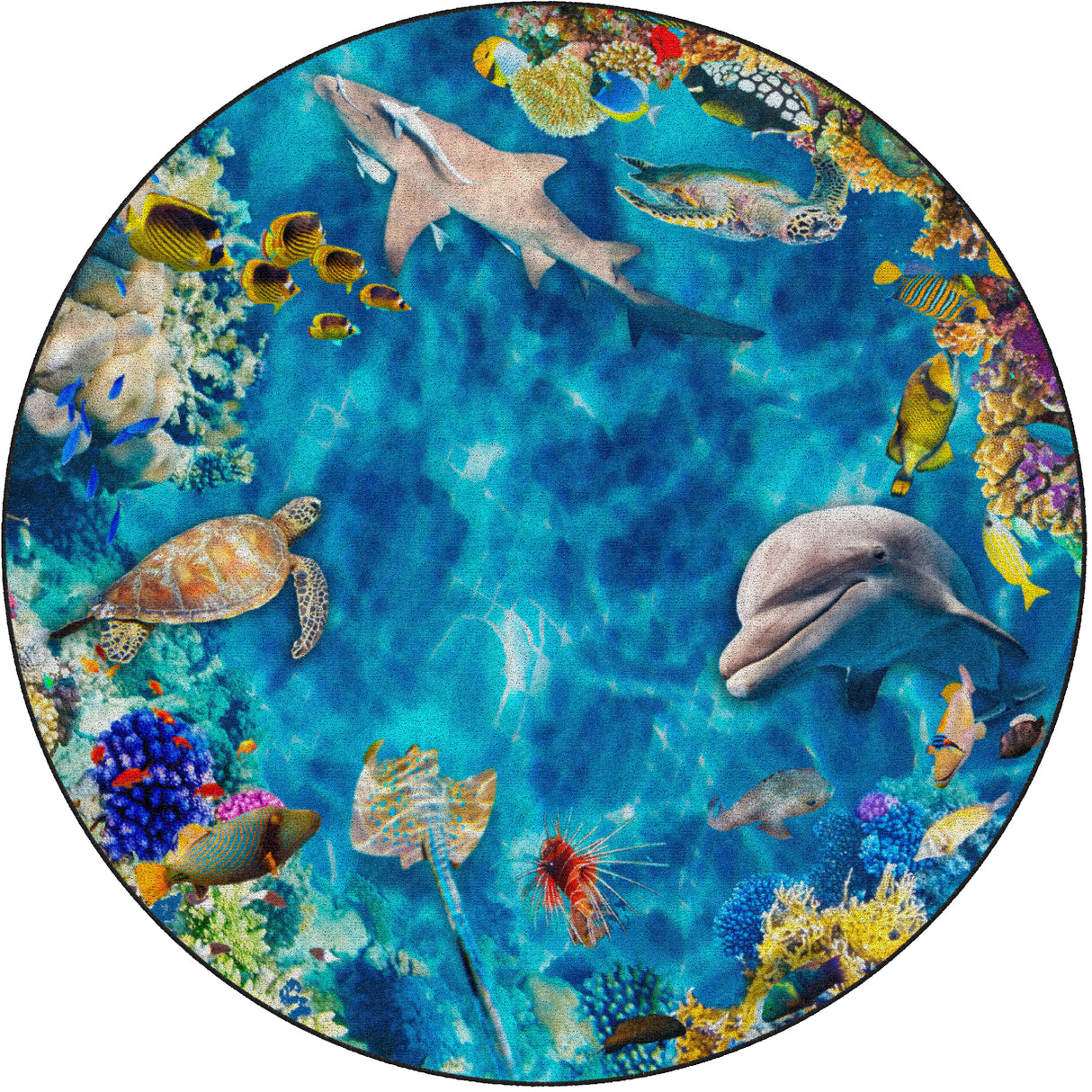 Into the Sea Photo Rug